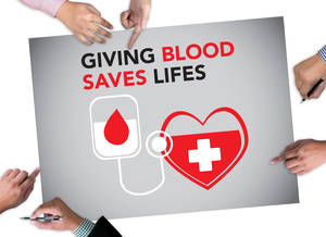 Carousel image f1a04cb7f65ea2aed244 shutterstock 476667979