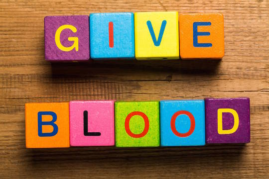 Top story 3000575b28b0561c1896 mini magick20201206 1839 1gdsmr1