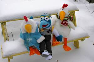 Carousel image 70a5397385148bc1a8f9 best crop e0b3e3575aafef4398c6 best crop 6e343e112a7f1523a992 gonzo loves the winter weather