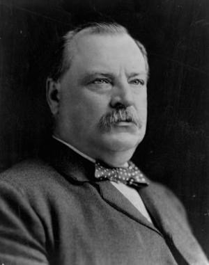 Carousel image ed40cb91690fec036919 best crop 677e1d1659861421b5f1 best crop e304b99c8aa40a4dcdbc grover cleveland   public domain
