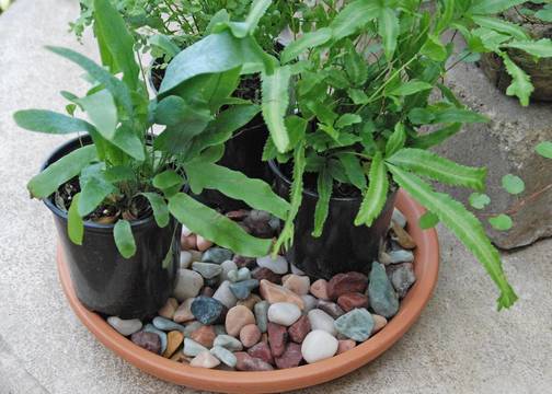 Top story fbfd5ee8c56170e1942e mini magick20200309 21452 1jssnr3