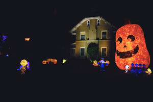 Carousel image 46eb89091d938ec582f0 mini magick20241014 3277064 p1g0o8