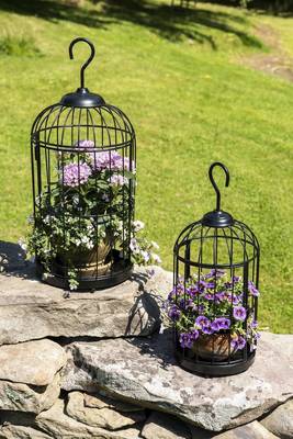 Carousel_image_acb41bea7c61fbabfd9c_mini_magick20201114-28512-14wxu4o