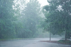 Carousel image 48b567692e70ca7a7a49 shutterstock 1673320459