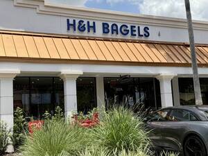Carousel image 4049a6c494043ecd67bb best crop 40f39fc79d318e12ea47 h   h bagels