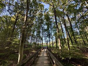 Carousel image ed66f1253cc86f845d3a ab99029c9a329b61217b holmdel park 