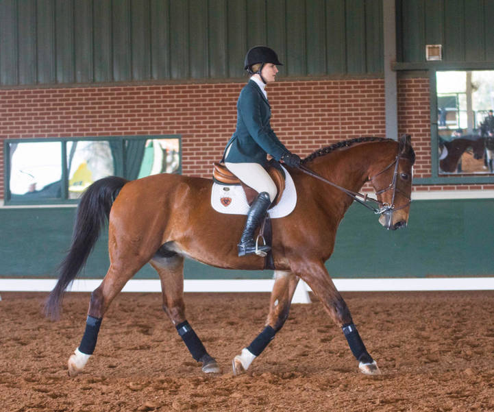Brick N J Equestrian Earns Ncea All America Honors Tapinto
