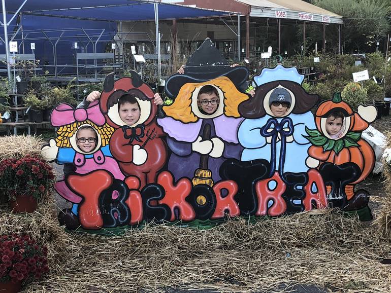Homegrown Fairfield Garden Center Closes After 52 Years Tapinto