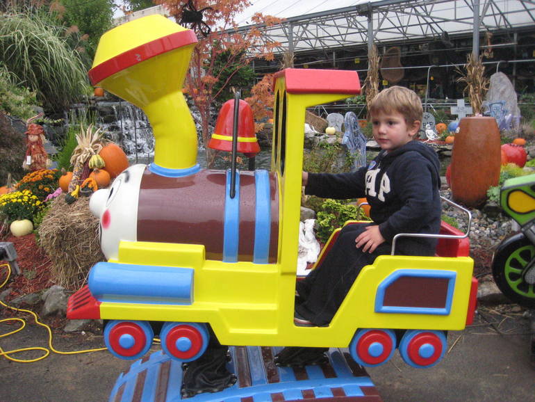 Homegrown Fairfield Garden Center Closes After 52 Years Tapinto