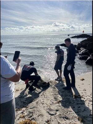 Carousel image 036b1345b7e2077147eb best crop 2c75aef4f5f671a1aae6 image 7 25 25 at 5.18 pm  1 