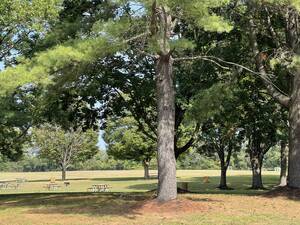 Carousel image 07f223463dc0d0d53324 img 7528