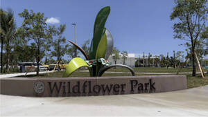 Carousel image 240de03062c0e4350d85 mini magick20260118 2190559 unan2g