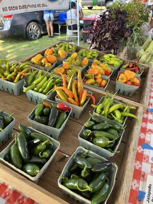 Carousel image 29b5cae9c60ade19cb9c 3033fa09417214add37d img 3977