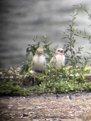 Carousel image 42956a234050c864da0f best crop f3f56ee7af7921054697 img 5610