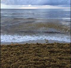 Carousel image 4a6d202ea0af4324a641 best crop ca6c798f2241116d9b71 image 8 7 25 at 2.30 pm