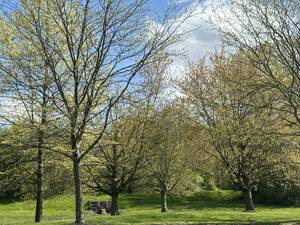 Carousel image 4b398512430c091538c4 mini magick20240807 449274 1no1red