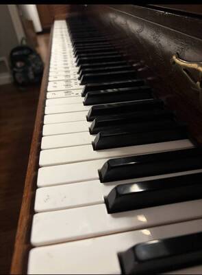 Carousel image 527f919cd24a2a17c251 best crop 4b4d4fd66bf3e31b7cff mini magick20251027 1201329 7v80ti