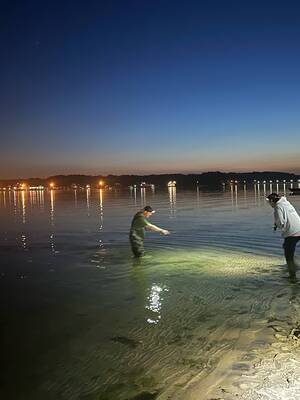 Carousel image 6046e212cb0f22fab1a9 c759ba0baef98fcdb283 327f5d9cf2631613b88d image4  7 