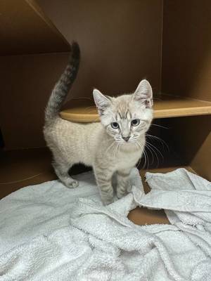 Carousel image 7346e89aefc2398ed331 12e117424384f05bf5a5 img 3792  1 