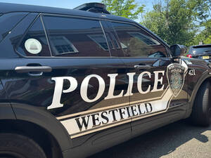 Carousel image 78de6d estfield police car