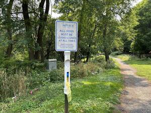 Carousel image 7bf32e48d36751505b3a 540731e0f22c80ffe593 img 0773 1 