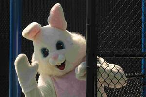 Carousel image 7f01ae77022064098c30 8a35d5d5091f3dab5d16 img 3420  1 