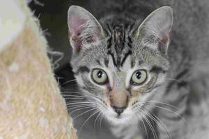 Carousel image 80cbefd9928e8dbfc8a6 bb89765e6e1773d11f05 img 8392