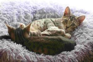 Carousel image 83595b30e35605ceef67 mini magick20260305 2045161 44tjtt