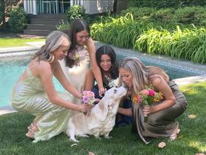 Carousel image 8393d5 estfield prom dog