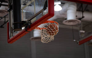 Carousel image 951a5022267a4b0d04c7 bb84d877e46d9cbf8e95 mini magick20260114 1567117 g0zsjr