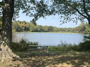 Carousel image b2903901be35a7dc6569 img 7535