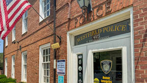 Carousel image bd6ee21d5d70add72577 ef95bf83b8c26ebcc068 50d697d4049ab82a06d3 img 4055