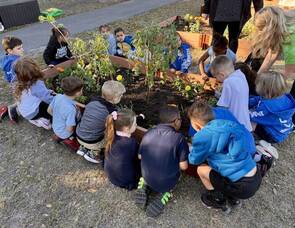 Carousel image c0fa79c1d3e0e7011c96 best crop 122be622b010c627c889 img 5247