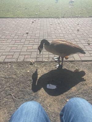 Carousel image d66404cb7beda7818890 01007321ca89f9675e71 img 0940