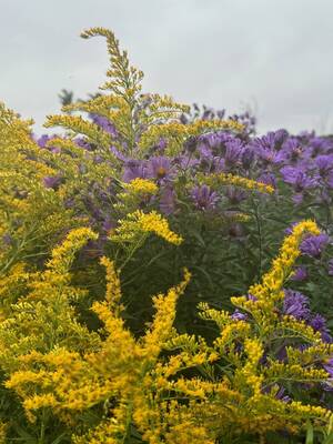 Carousel image d724ef268e55b24b7c48 76c1663e44af41907dc5 img 5035