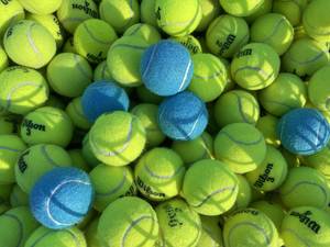 Carousel image e556fbe7015498f9ffed mini magick20240509 8190 1lp9pfp