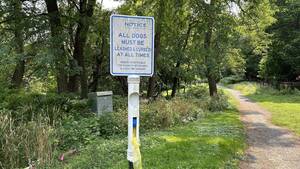 Carousel image f78e9b7591f616ee341a ee177d785918f655699f 540731e0f22c80ffe593 img 0773 1 