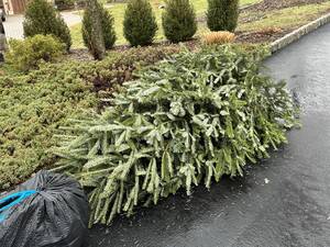 Carousel image f90c26011e0963a58487 mini magick20241230 18676 b7g58n