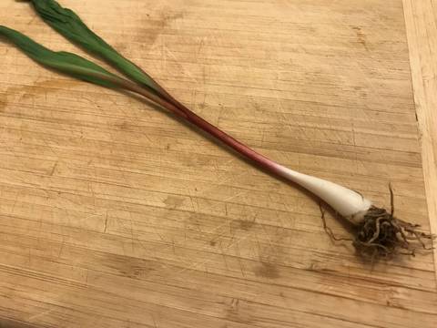 Top story b0cb9b7fda1446e3770a mini magick20190511 6061 1q8etl