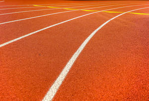 Carousel image d9cf821470222dee1d98 shutterstock 544476496