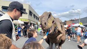 Carousel image 33bb5d esti all dinosaur