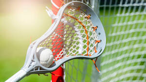 Carousel image df1902886c9359345372 e0af3e9e345d057ff14e shutterstock 1414076126