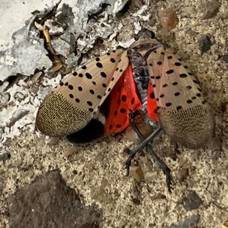 Carousel_image_f1f70215d9153748af7a_mini_magick20200903-28658-j6bnqo