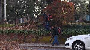 Carousel image dd4f6b estfield leaf blowers