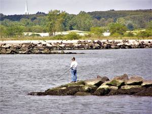 Carousel_image_7fe0959749272a485554_mini_magick20200907-13313-1jkgf2b