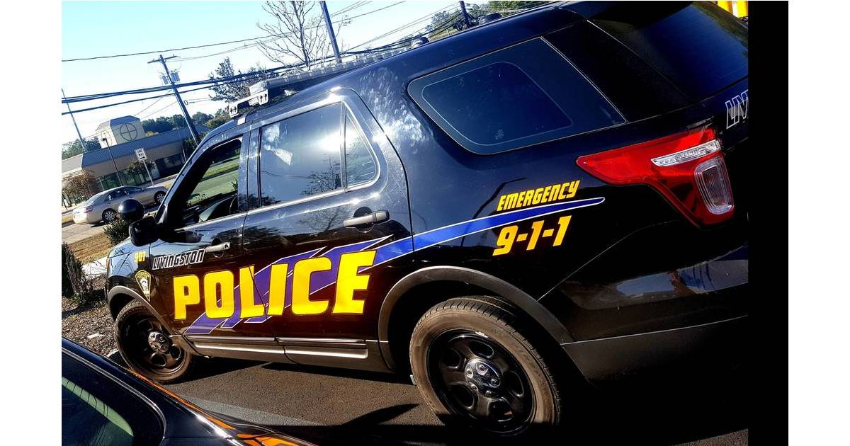 Livingston Police Investigate Residential Burglary on Driftwood Drive