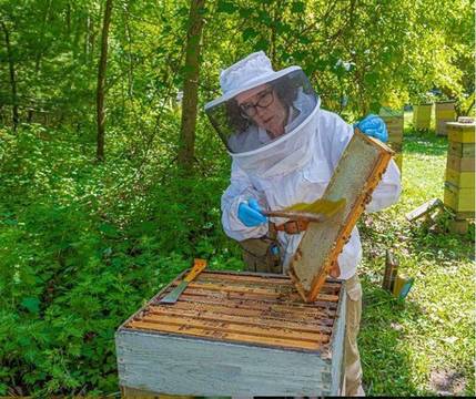 Top story 2d39e03728ef6e5f2b28 mini magick20200917 69807 16sbjfb