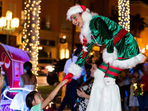 Carousel image 754bb24d3bdc1f7db8e0 mini magick20251213 3061484 6yofdk