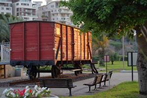 Carousel image 78d190da63d20346ffd8 mini magick20250123 3627002 1el9cq2