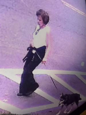 Carousel image fdb838ddf5393b8b5d5a best crop 3a8a8f63fb4a2988425b missing woman and dog walking